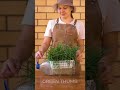 Genius gardening hacks to grow your own garden oasis🌱🪴