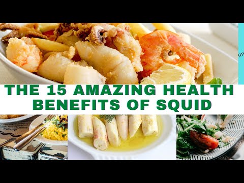 THE 15 AMAZING HEALTH BENEFITS OF SQUID II THE HEALTH BENEFITS OF SQUID II THE BENEFITS OF SQUID