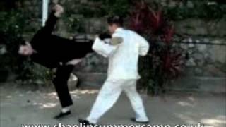 Combat Sequence 2 - Application 5: Trap Leg