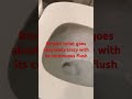 Broken toilet goes absolutely crazy with its continuous flush
