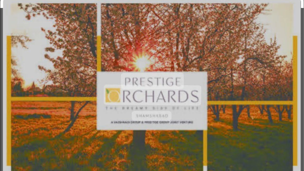 prestige-orchards-construction-update-april-2023-youtube