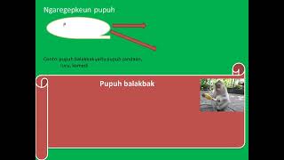 sasatoan jeung tutuwuhan