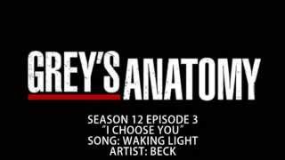 Grey's Anatomy S12E03 - Waking Light by Beck