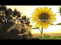 You Are My Sunshine Lullaby Song 1 Hour Relaxing Sleep Music Cover By Jemma Johnson You Are My Sunshine Lullaby Song 1 Hour Relaxing Sleep Music Cover By Jemma Johnson