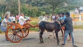#rekla #race#rekla #senbagaramanputhoor #eveningtime #racingvideo #likeshare #subscribe #singakutty screenshot 4