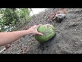 POV: Day In The Life Camping In The Tropics