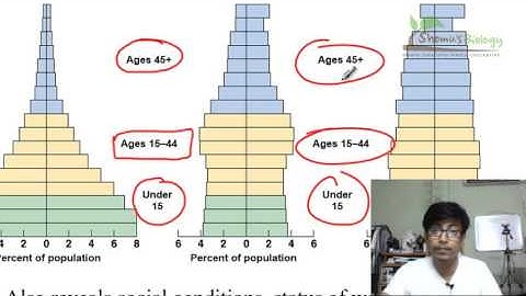 Age structure diagrams (population pyramid)