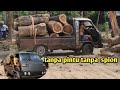 Old Mitsubishi colt without doors||bongkar muatan kayu#woodworking