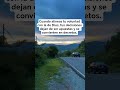 Deja de apostar, empieza a decretar ⚖️📜