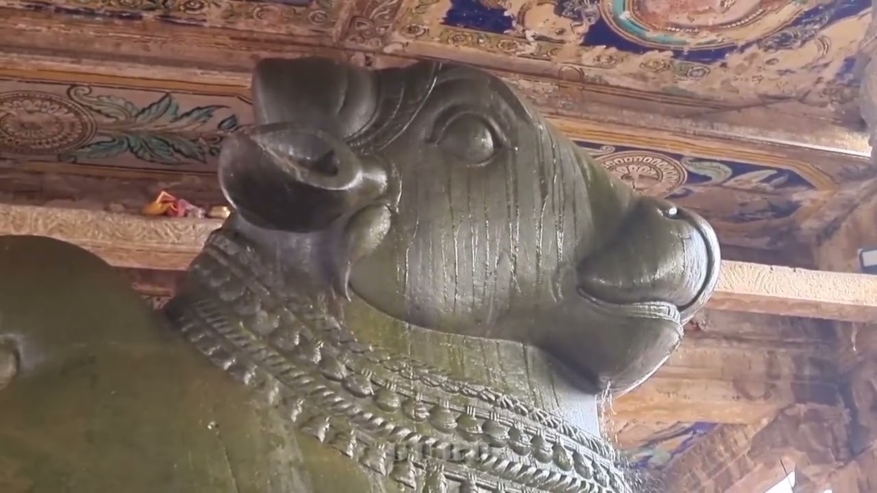 Thanjavur Temple Pradosham | Big Nandi Big Temple | Brihadeeswara Temple | guru pictures