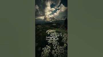 ﴿الَّذِينَ آمَنُوا وَتَطْمَئِنُّ قُلُوبُهُمْ بِذِكْرِ اللَّهِ﴾ #quran #اكسبلور #تلاوة_خاشعة