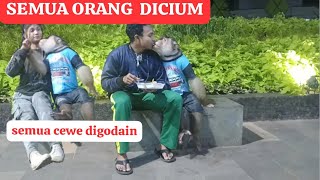 Ajak Monyet Beruk Bastian makan pancong di GOR Bekasi! Bastian genit semua cewe di rayu!