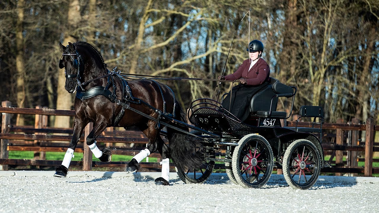 Video MENNEN met Renate Roling