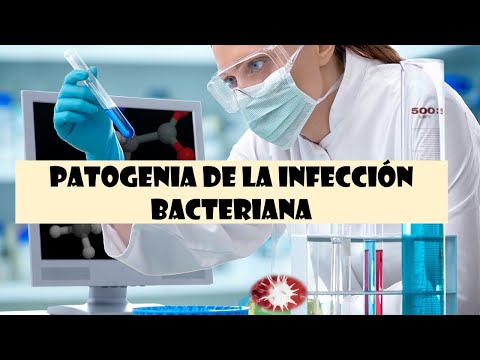 Video: Infección Bacteriana En Anfibios