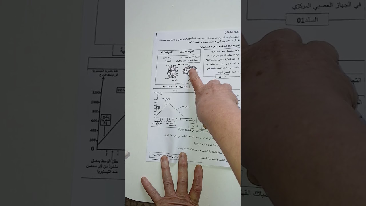نموذج من اختبارات الفصل الثاني ل4متوسط 