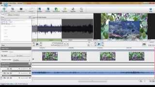 VideoPad: Hear The Overlay Sound Track