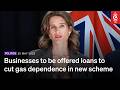 Businesses to be offered loans to cut gas dependence in new scheme  | RNZ