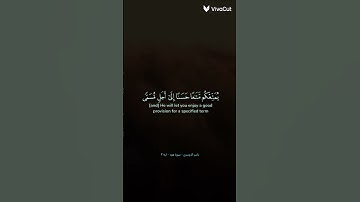 سورة هود ياسر الدوسري