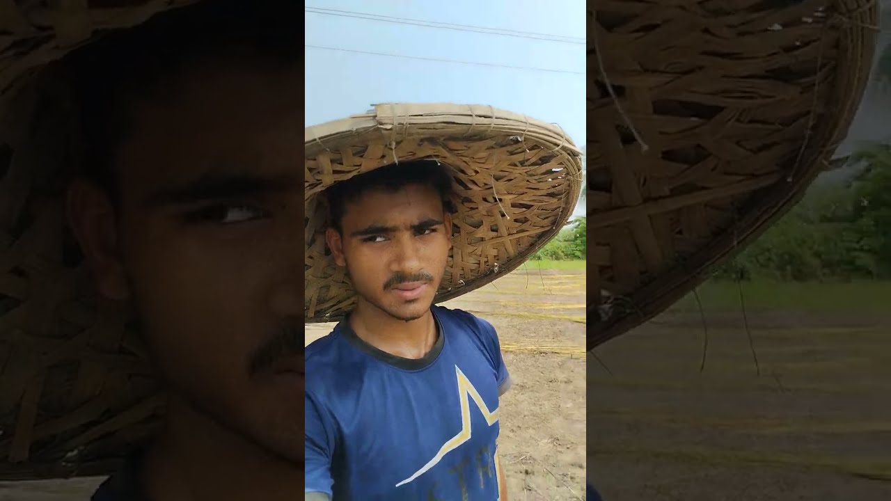 Exploring the Riches of Jute and Paddy Lands| Where Nature Meets Agriculture