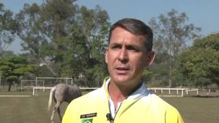 Cel Sgnaolin Escudeiro