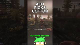 Aeo Picks Cotton