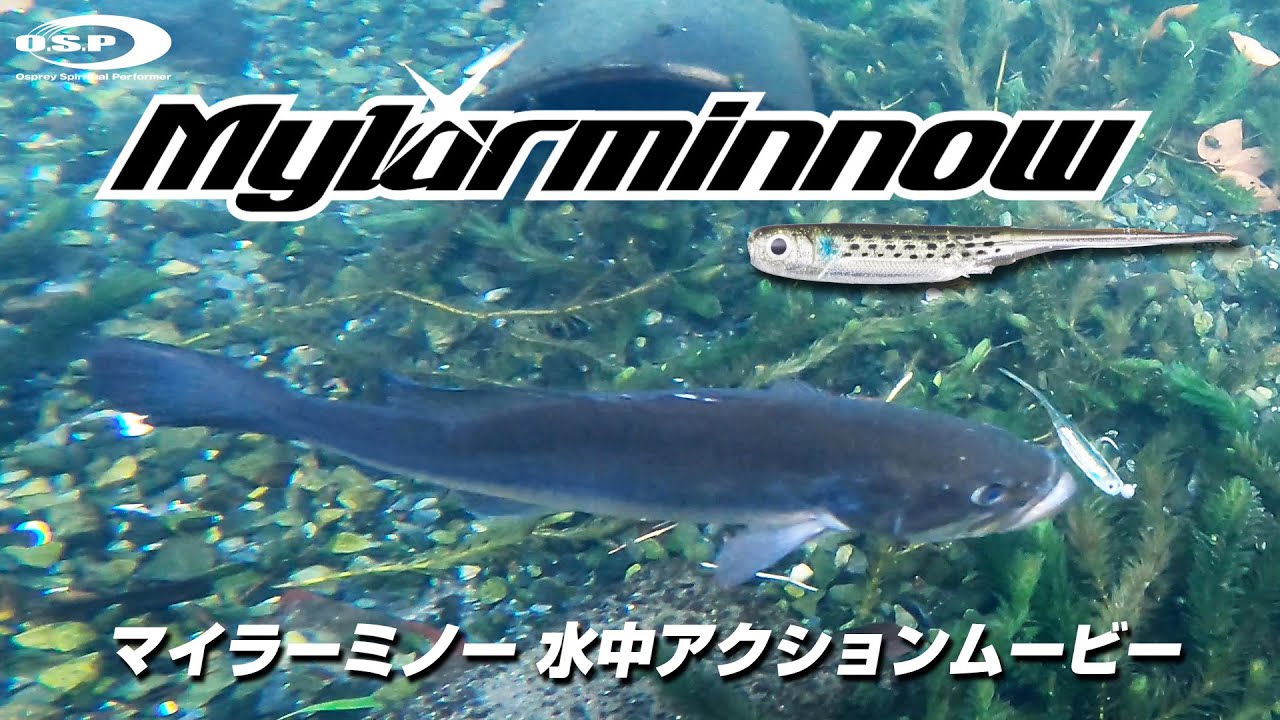 マイラーミノー O S Pルアー水中アクションムービー Youtube