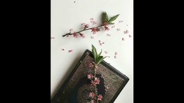 111 - Al-Masad (The Palm Fibre) سورة المسد || Abdulelah bin Aoun - القارئ عبدالإله بن عون