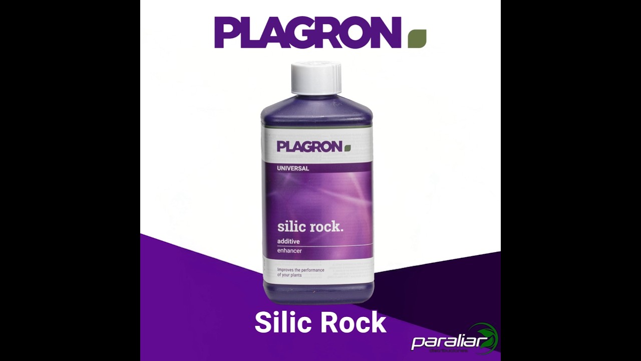 Silic Rock Plagron