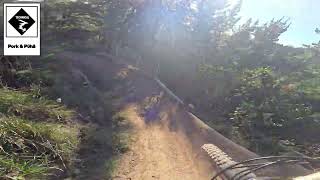 Top to Bottom ( 5 Trail in 1 Lap ) Christchurch Adventure Park|| New Zealand