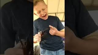 why did you do that kids funny videos #shorts #shortvideo #funny #short and Shorts