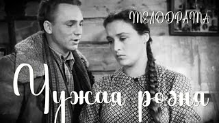 Чужая Родня.1955Г. Цветной. Реставрация. Мелодрама Ссср. Фильм В Хорошем Качестве.hd1080. Смотреть.