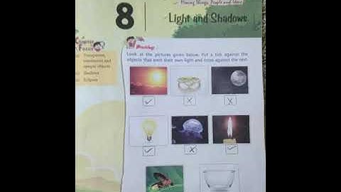 Class - 5 Science Lesson - 8 Light and Shadows - Exercise F and Exercise G