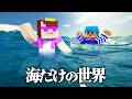 海だけの世界でおかんと生き残る まいくら マインクラフト