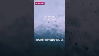 Сура Аль-Худжурат, 10 аят. Красивое чтение корана.
