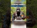 Ranking Funniest AI Bigfoot Vlog Moments #shorts #funny #viral