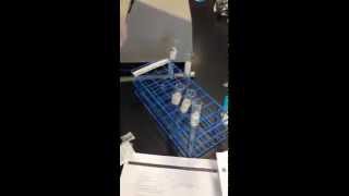 AP Bio Enzyme Lab