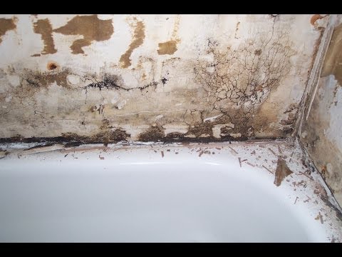 How To Repair Water Damaged Drywall In Bathroom?