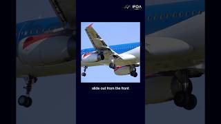 The hidden lift-makers on every wing — slats explained. #youtubeshorts #ifoaindia #aviation