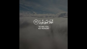 ( وما الحياة الدنيا إلا لعب ولهو ) شريف مصطفى - حالات واتس اب دينيه -💗🎧 تلاوة خاشعة