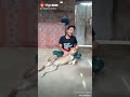Funny videos of cats and one funniest Indian dog show