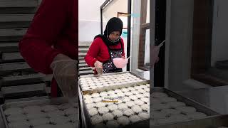 Usaha Kelompok Bolu Kelapa Beromset Rp3 Miliar #gunungkidul