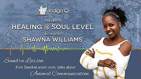 Healing at Soul Level - Animal Communication with ...