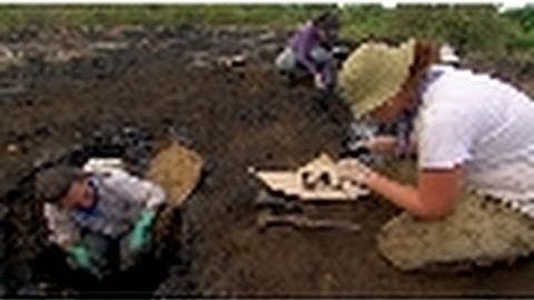 The Tar Pit | National Geographic