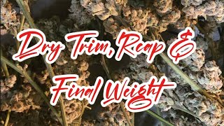 S1:Finale - Dry Trim, Recap & Weight!