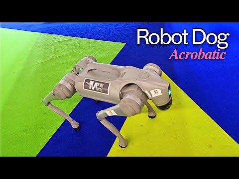 Dubai's Acrobatic Robot Dogs are Next Level | Expand North Star 2024 ...
