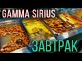 Завтраки и 7 местный номер в GAMMA SIRIUS/ Велопрогулка в Адлере/ море и закат