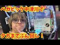 【生配信】ベガビック中津川で夕方までぶん回します!? #パチンコ #shorts #パチスロん