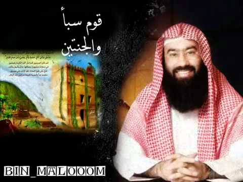 نبيل العوضي من روائع القصص قصة قوم سبأ والجنتين