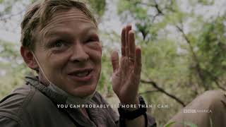 That Stings: A Dynasties Story | Dynasties Saturdays at 9pm | BBC America