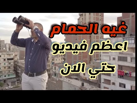 غيه الحمام الفيديو الاعظم حتي الان لتربيه الحمام
